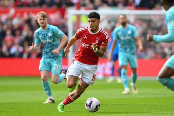 顯得至關重 顯得至關重