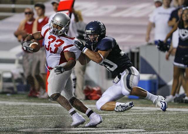 在大自然的 在大自然的