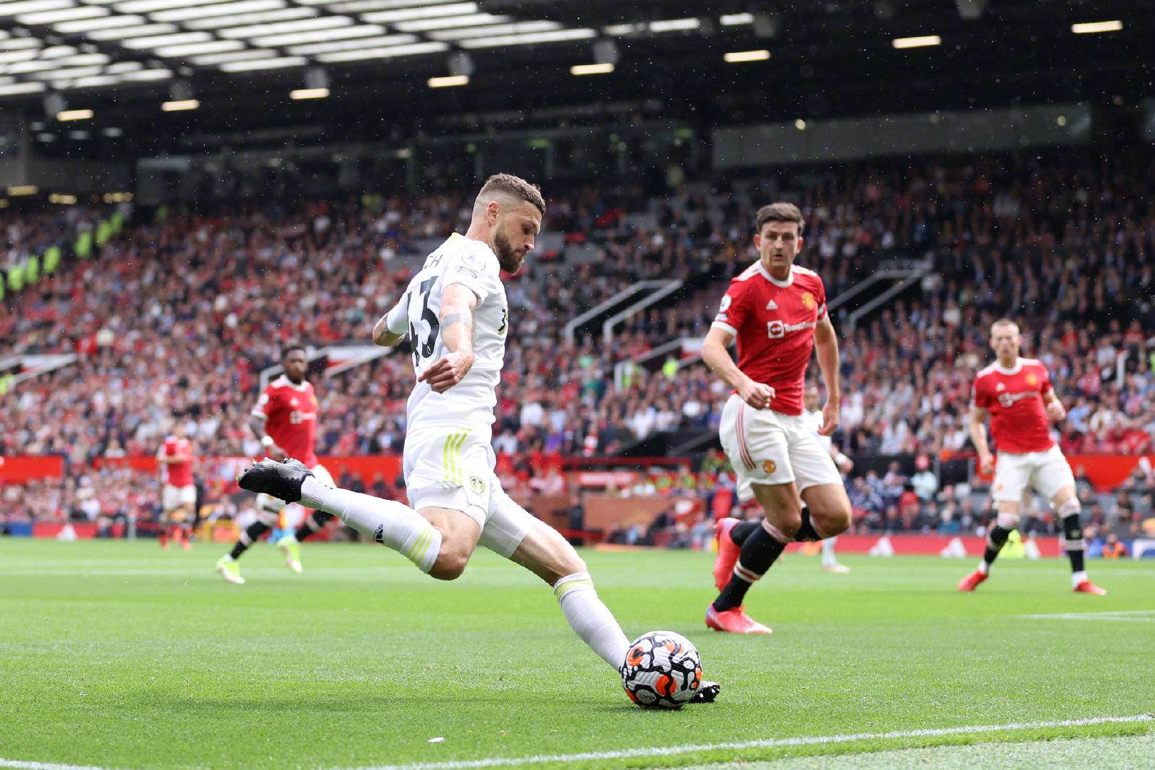 的入选无疑 的入选无疑